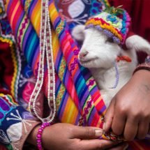 Conyers Latin Festival coming