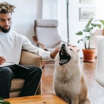 Pet owners soar in pandemic
