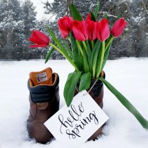 Realtors spot spring selling trends
